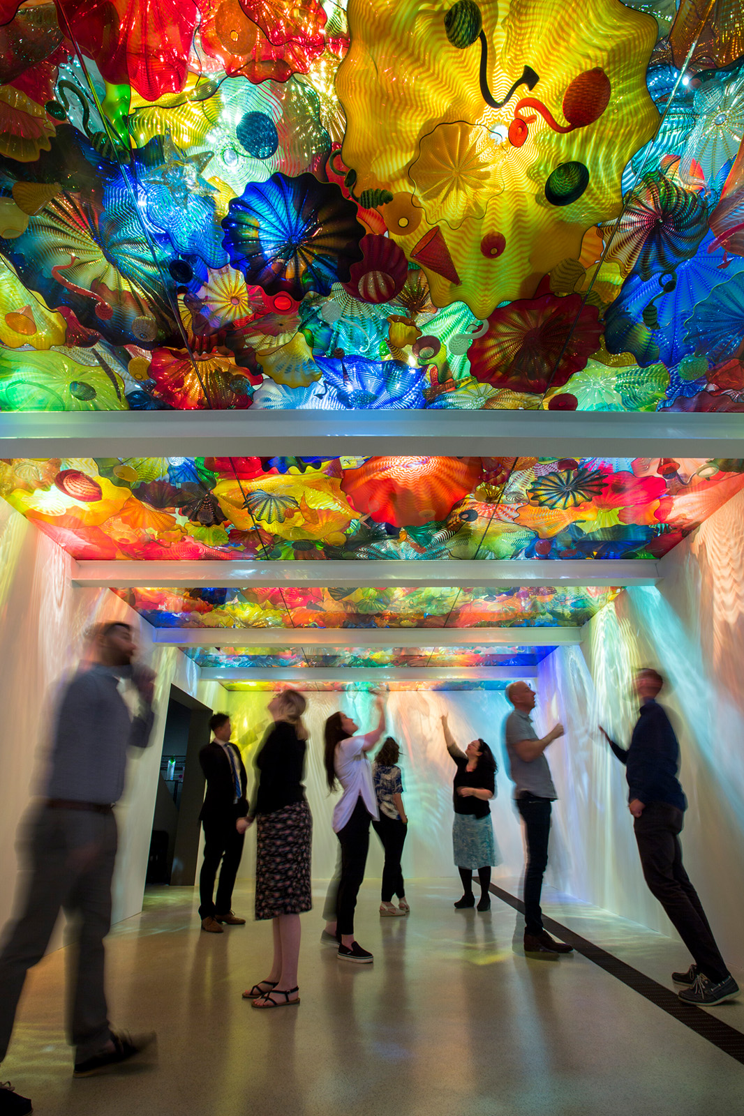 Dale Chihuly, Persian Ceiling, 2012