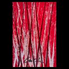 Bonfire Reeds                                                                   