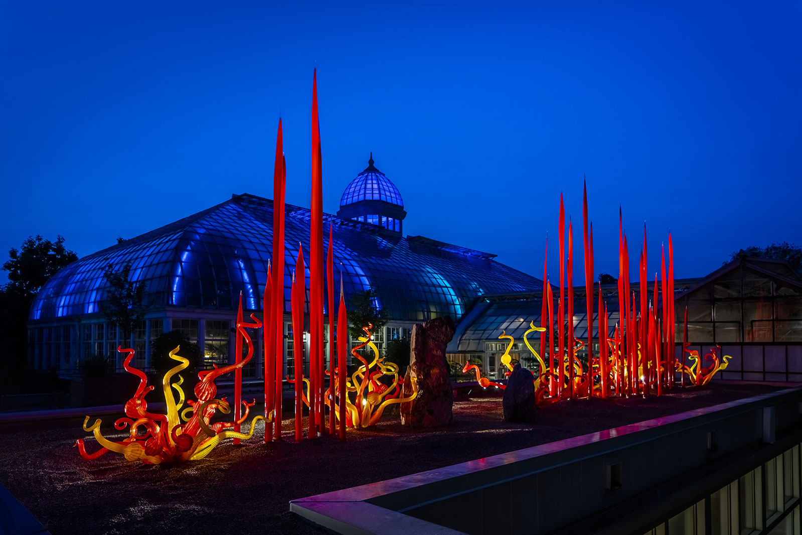 Red Reeds and Sunset Sprays by Dale Chihuly