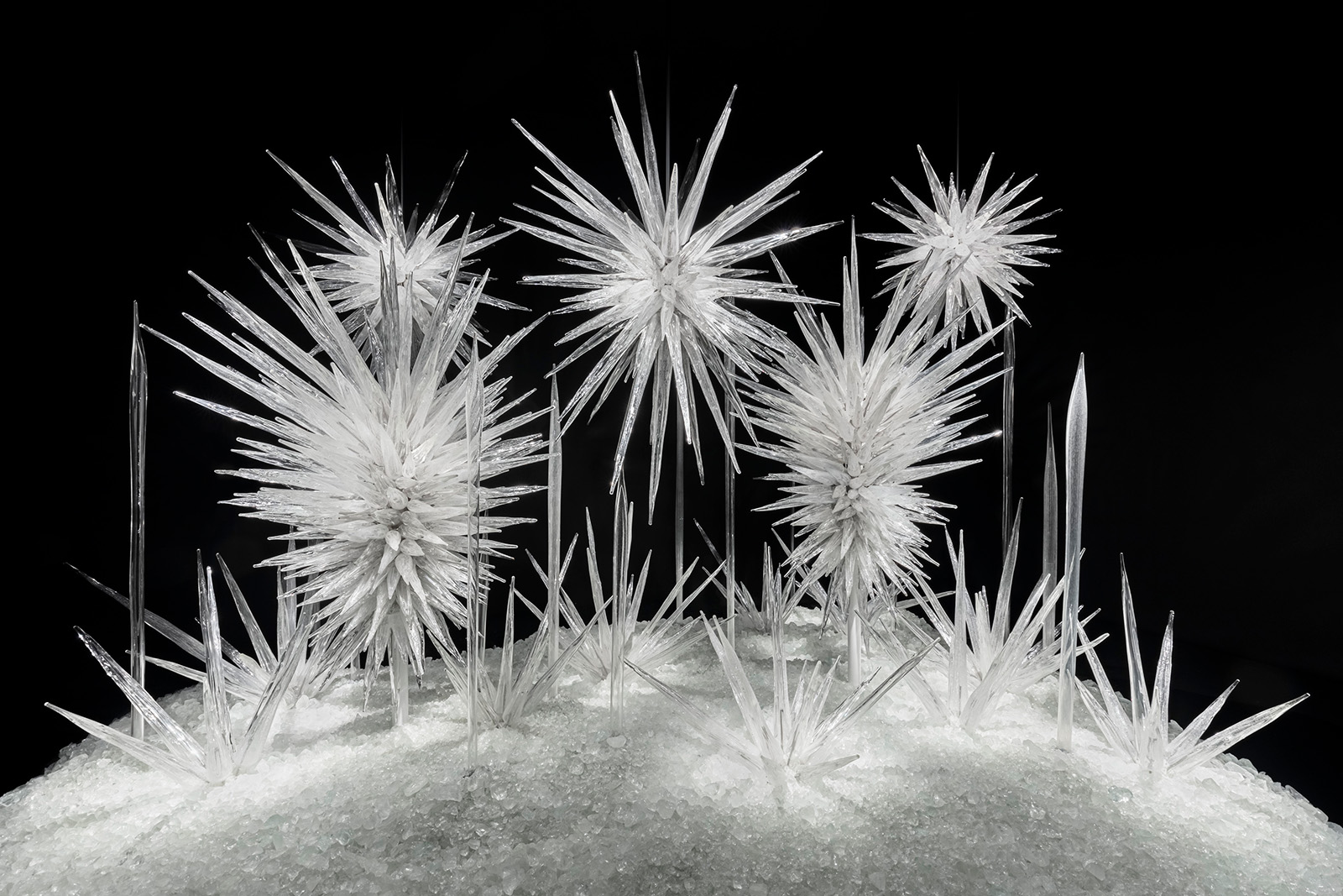 Winter Brilliance, 2015 by Dale Chihuly