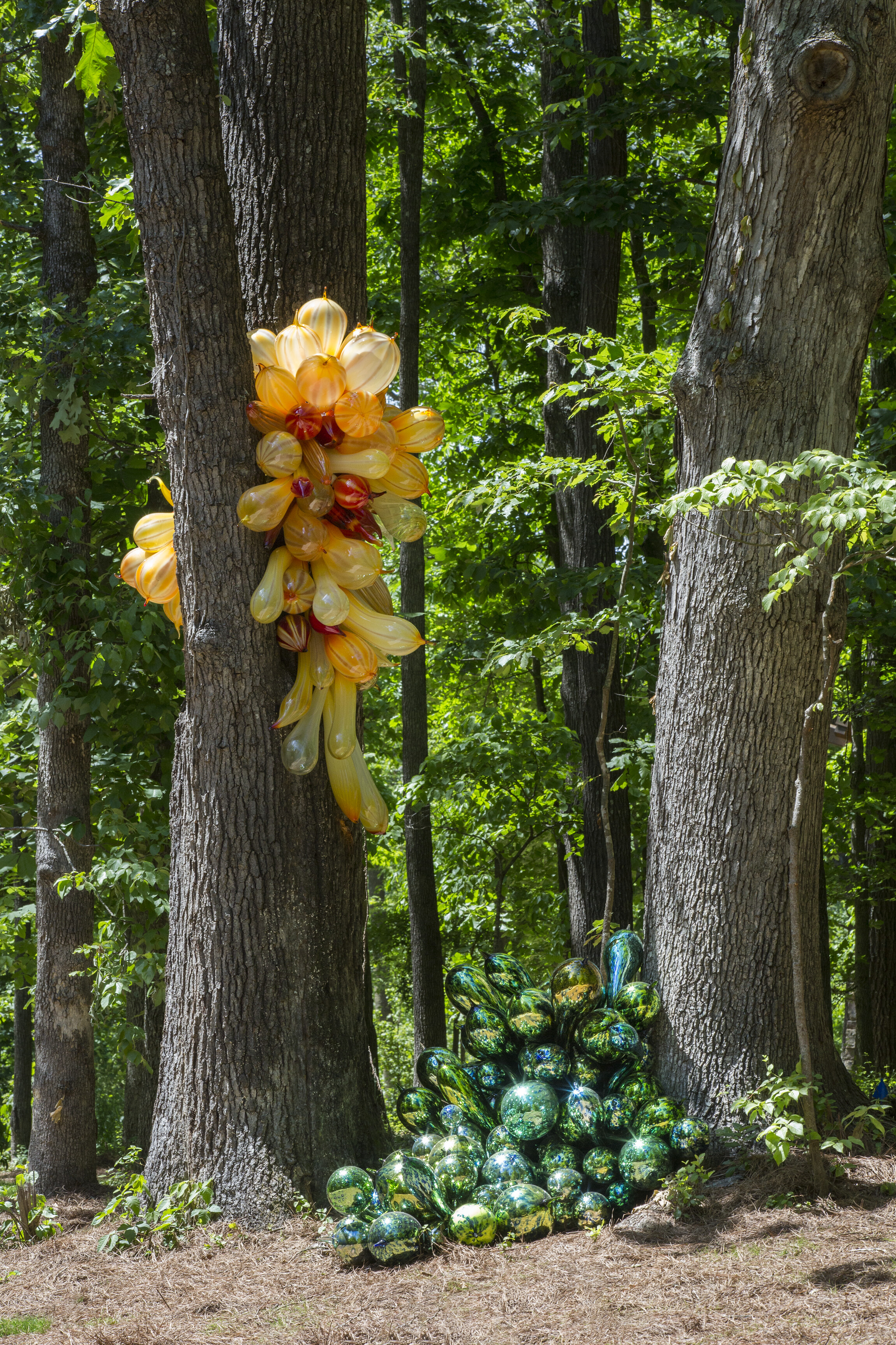 Art in the Ozarks: Chihuly at Crystal Bridges Museum of American