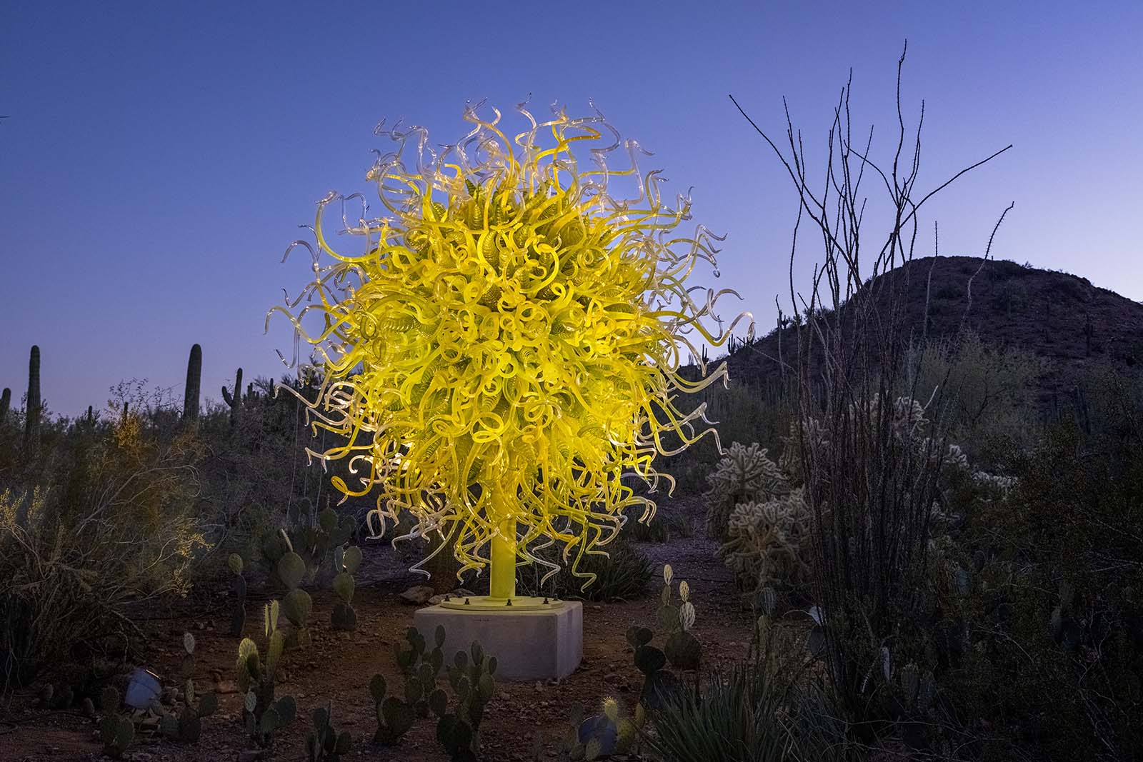 Sol del Citrón, 2014 by Dale Chihuly