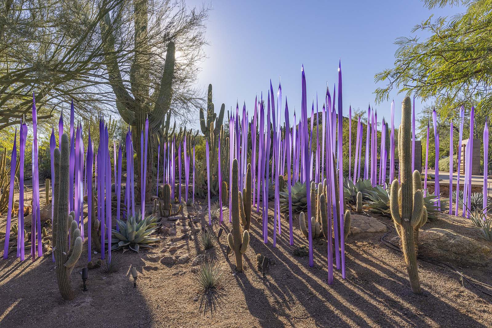 Neodymium Reeds, 2021 by Dale Chihuly