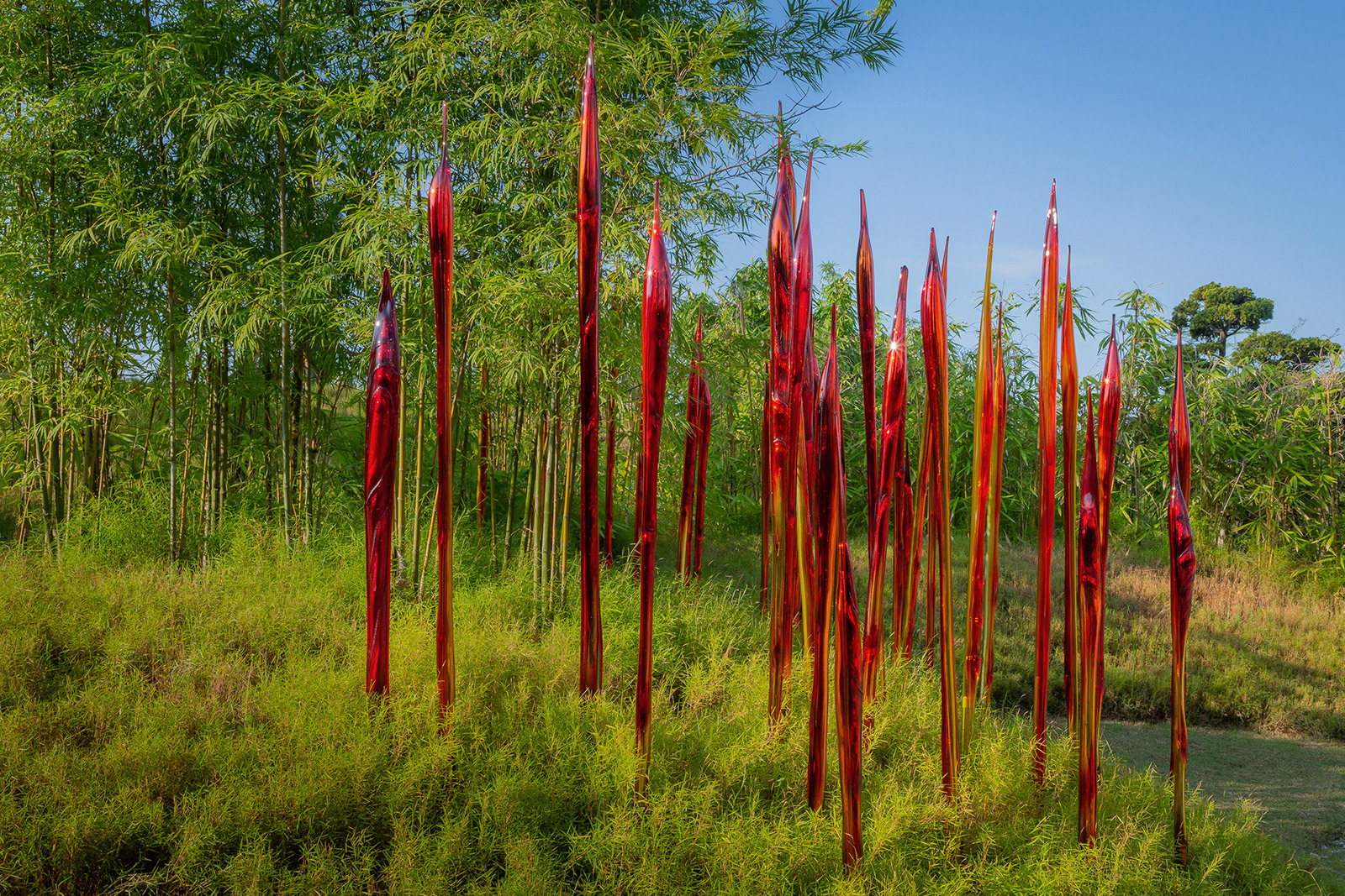 Dale Chihuly, Red Bamboo Reeds, 2020