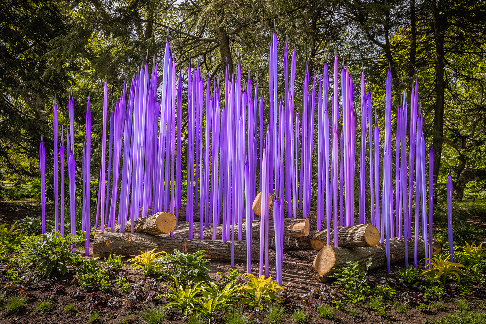 Dale Chihuly, Neodymium Reeds on Logs, 2022
