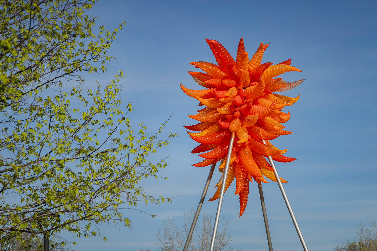 Dale Chihuly, Orange Hornet Chandelier, 2025