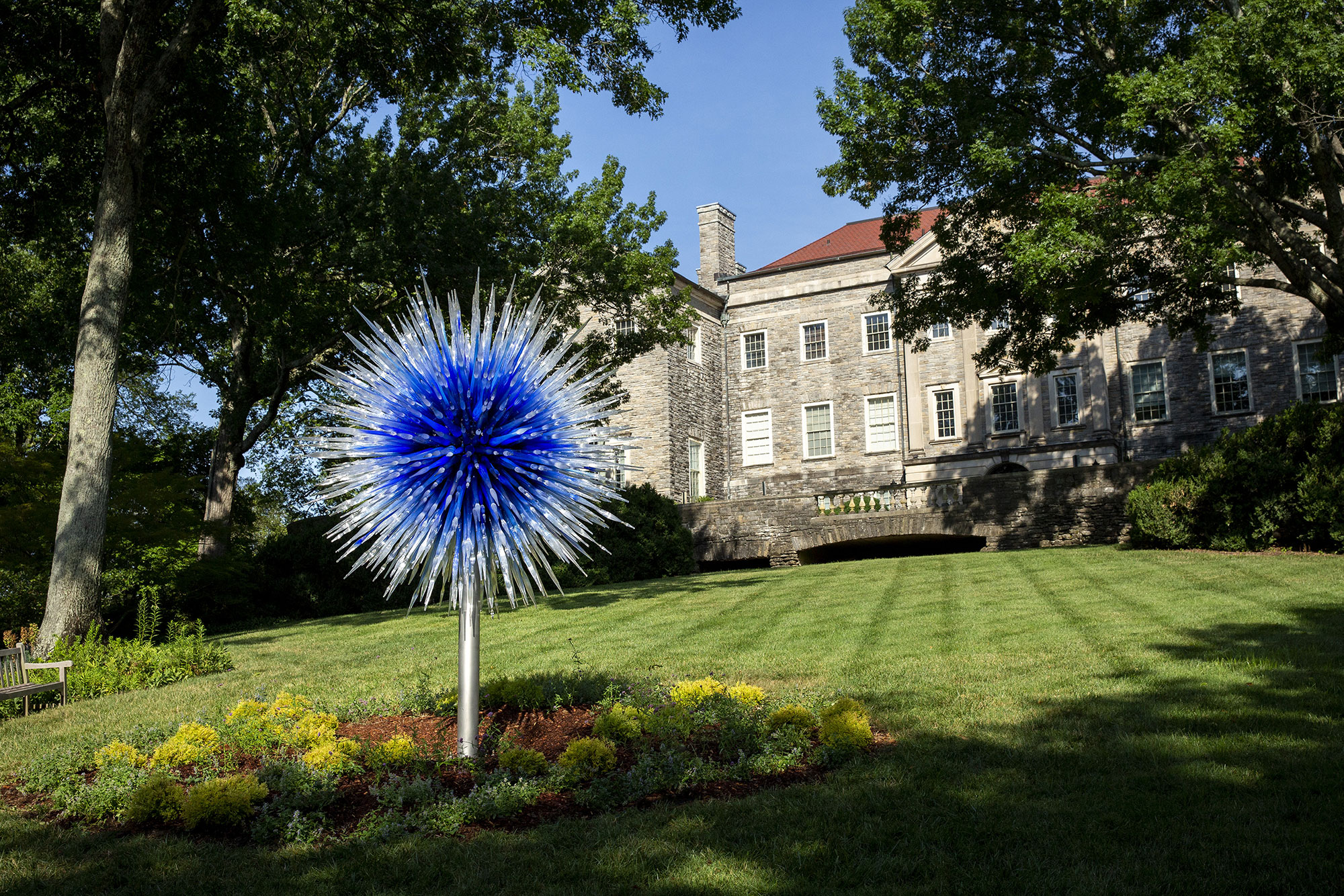 Sapphire Star (2010) by Dale Chihuly