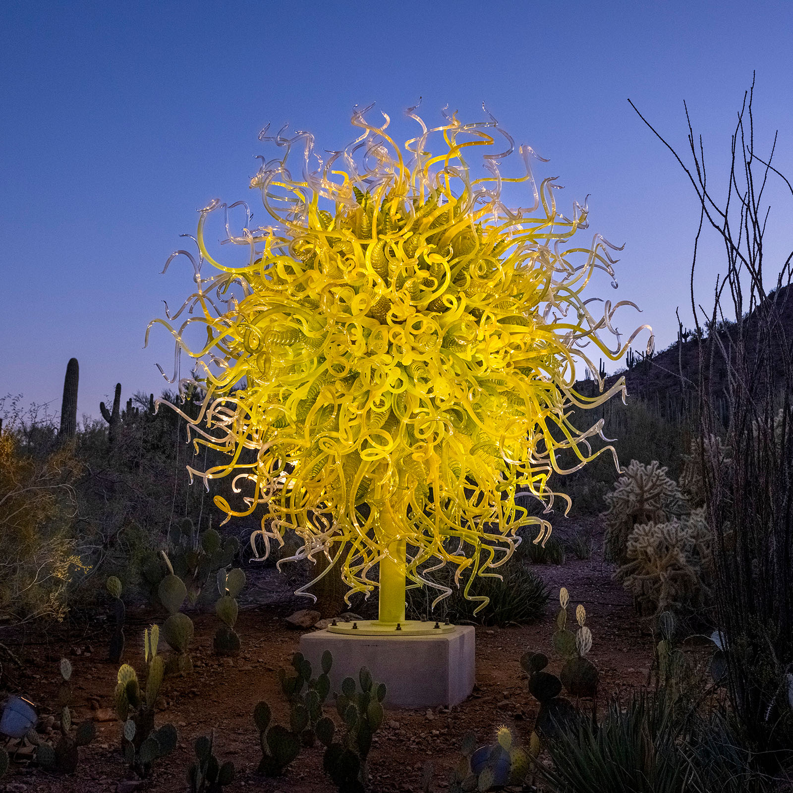 Sol del Citrón, 2014 by Dale Chihuly