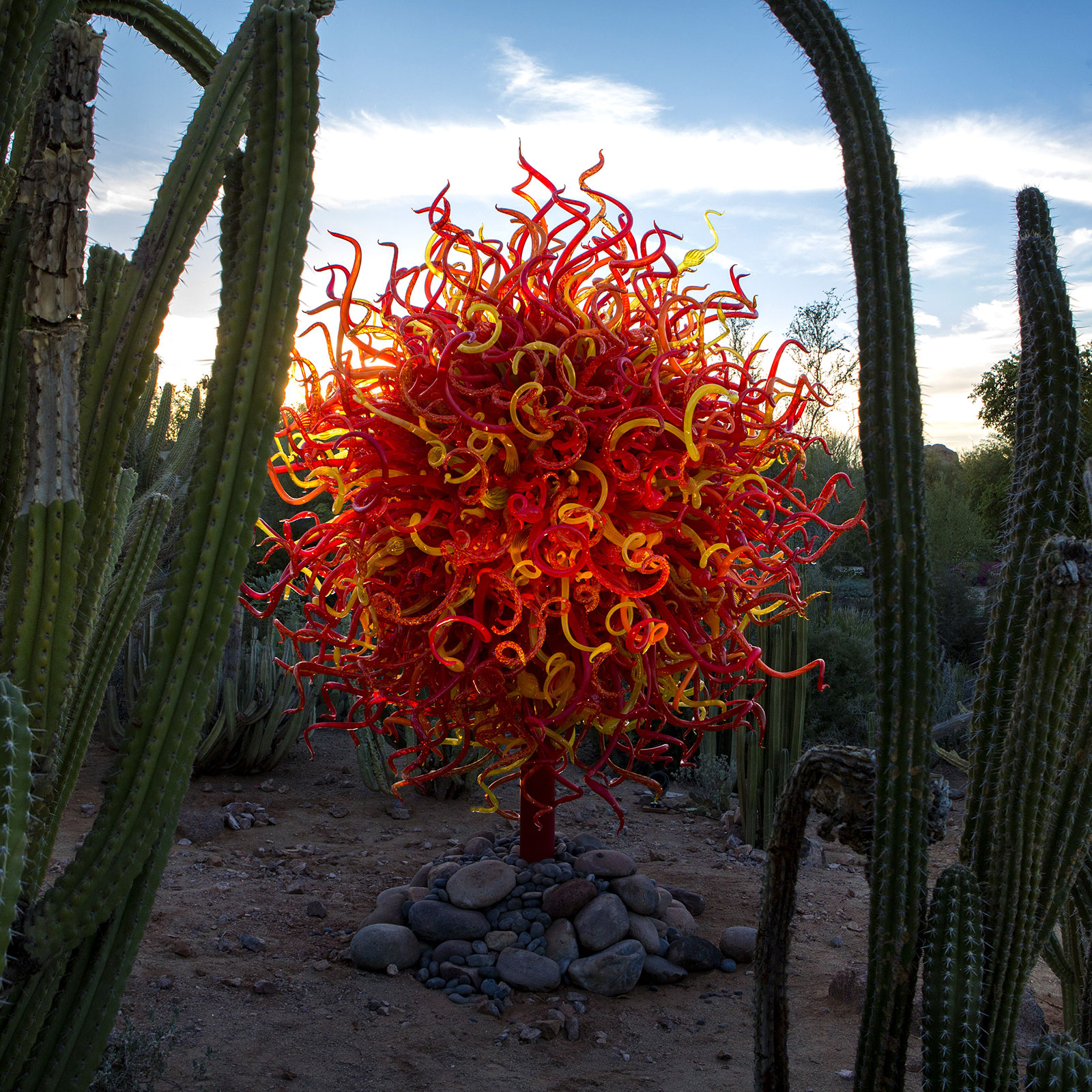 Summer Sun, 2010 by Dale Chihuly