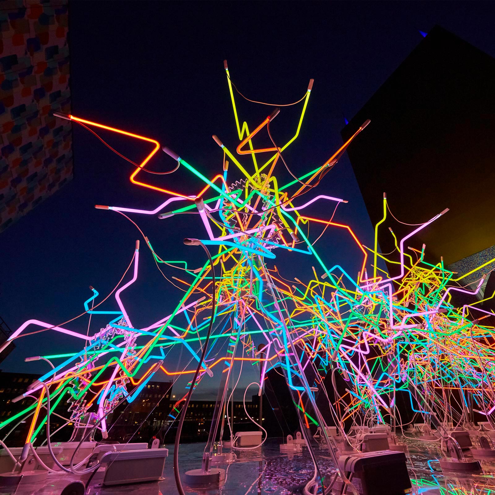 Neon 206