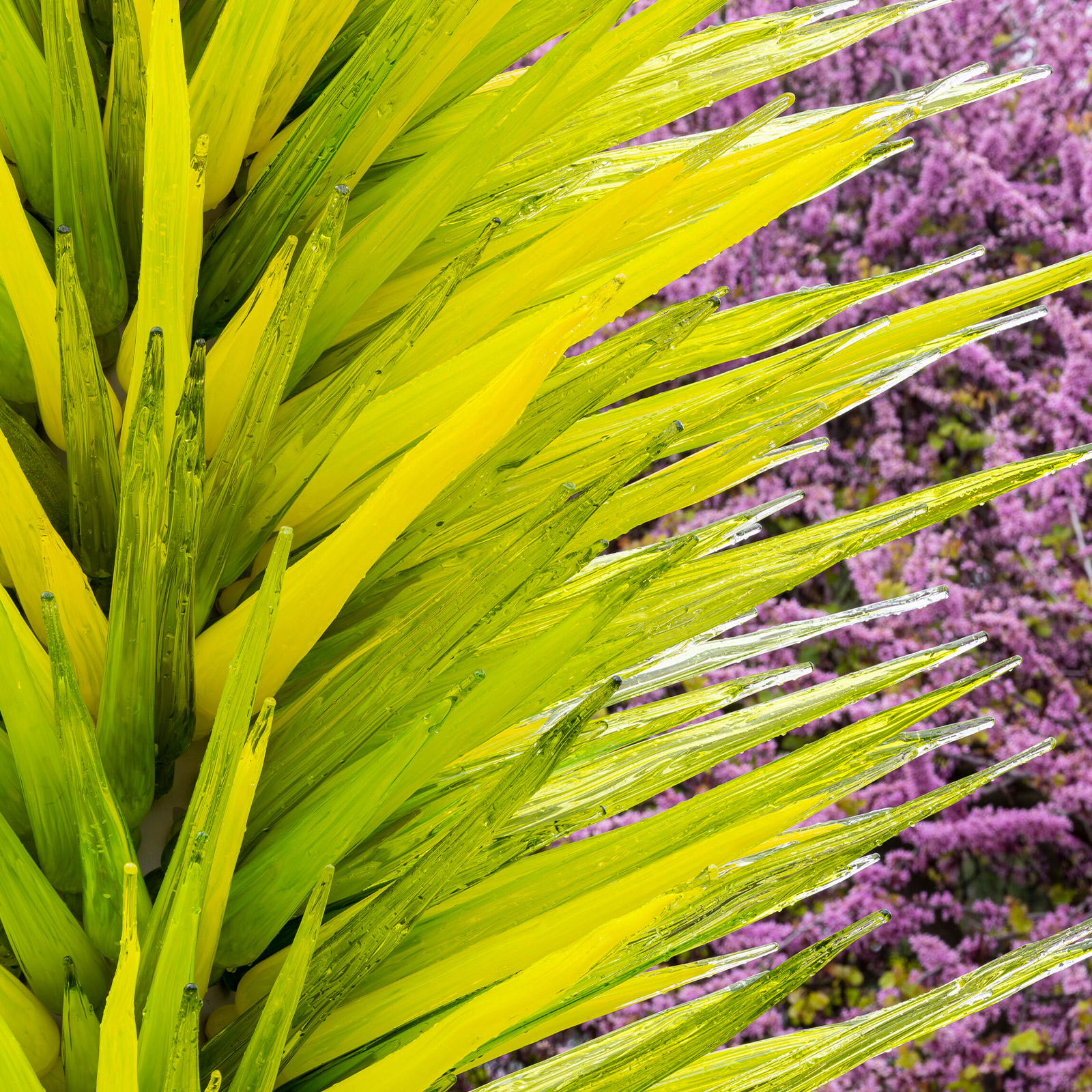 Dale Chihuly, Vivid Lime Icicle Tower (detail), 2022
