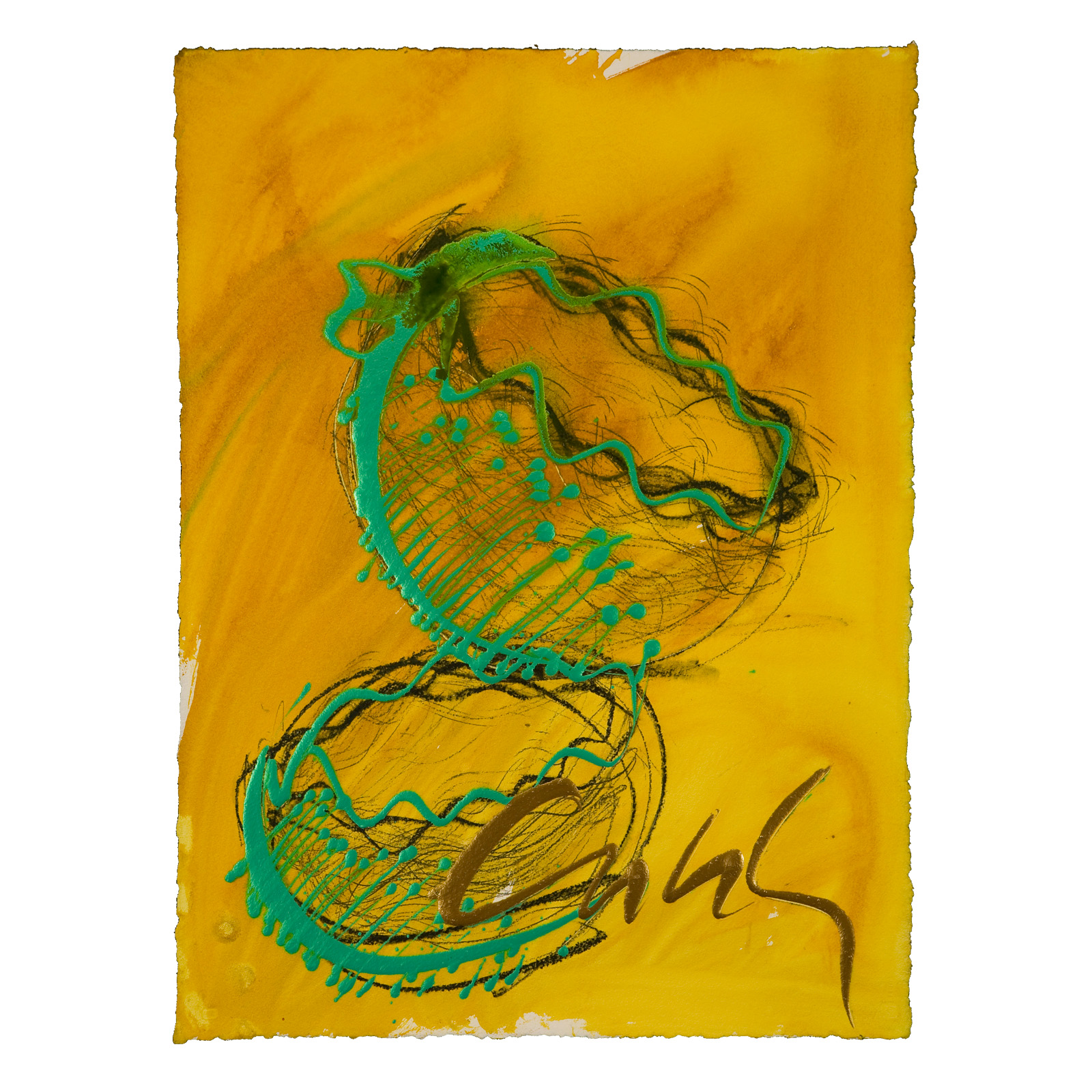Seaform Drawing, 2008 by Dale Chihuly