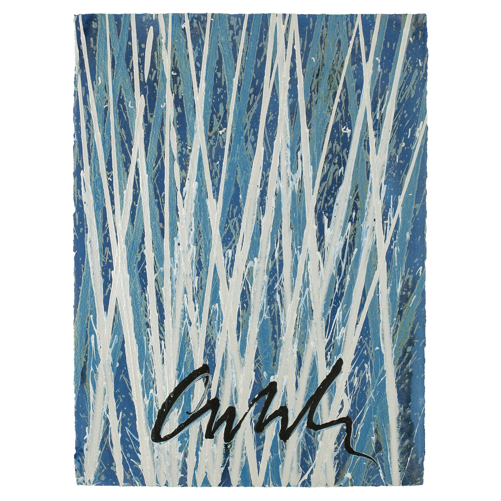 Dale Chihuly, Reed Drawing, 2011