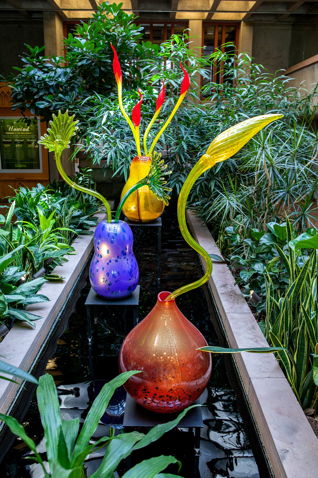 Dale Chihuly, Ikebana, Denver Botanic Gardens, installed 2014