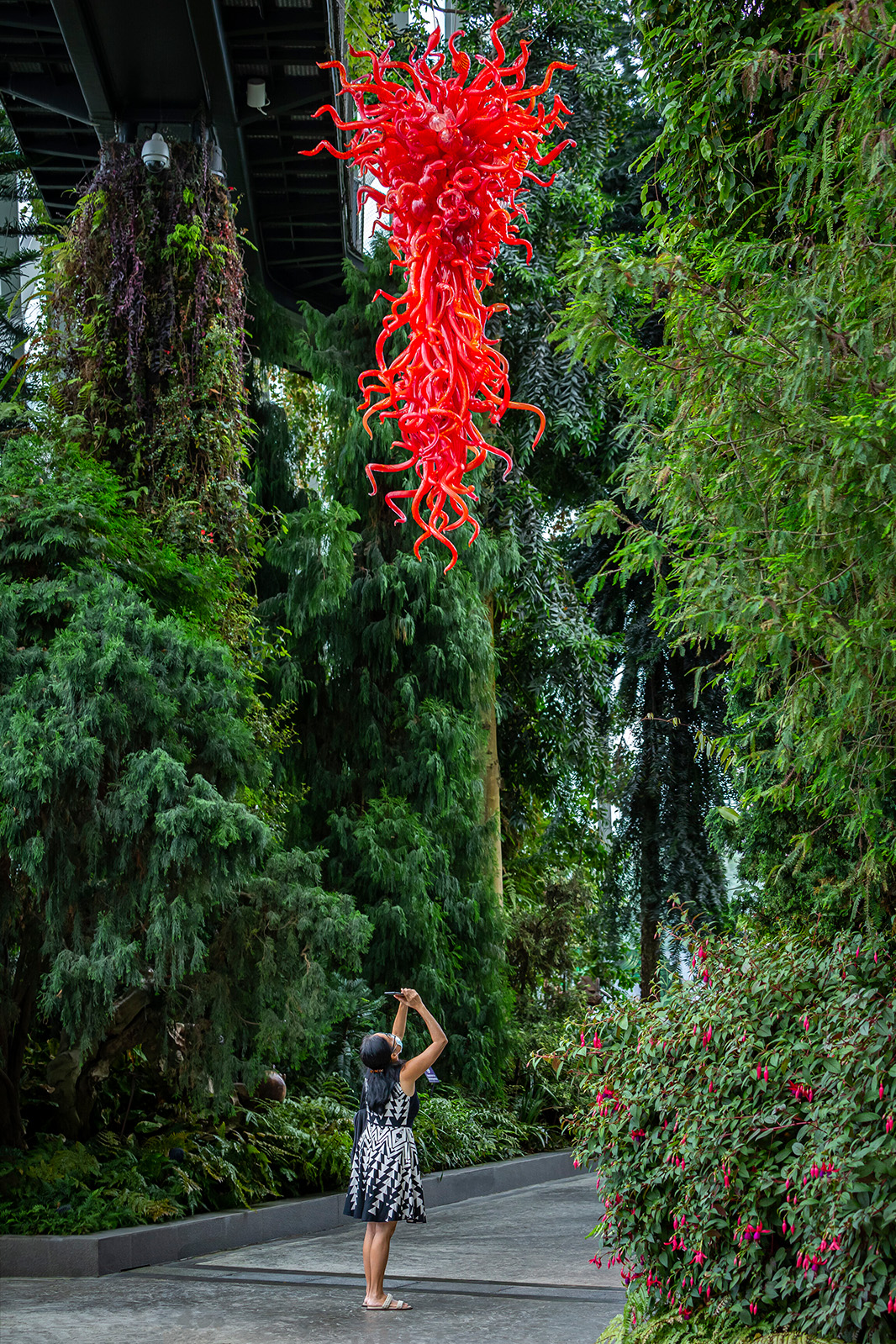 Chihuly, Ruby Red Chandelier, 2006