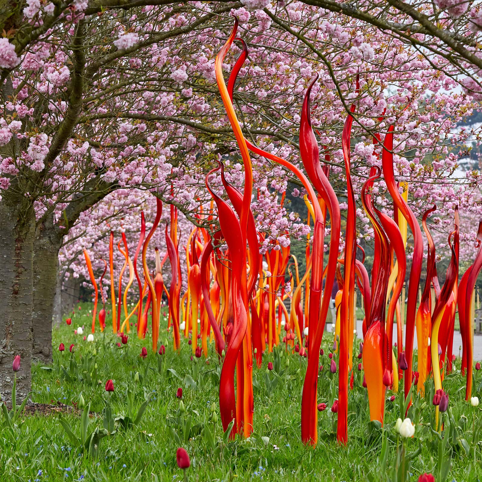 Cattails and Copper Birch Reeds (detail), 2019, Dale Chihuly
