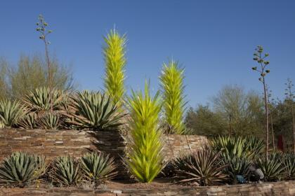 Desert Towers, 2008