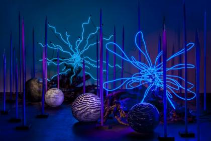 Chihuly at Marlborough Opens March 12