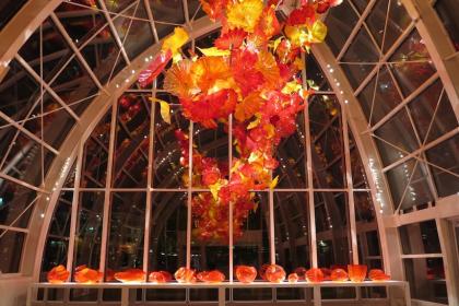Fire Orange Baskets, 2013