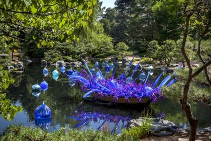 Chihuly's exhibition opens today at the Denver Botanic Gardens.