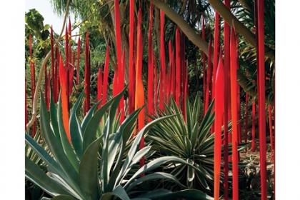 Succulent Garden Red Reeds