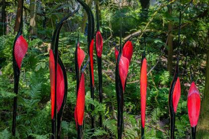 Jet and Crimson Fiori (detail), 2024 by Dale Chihuly