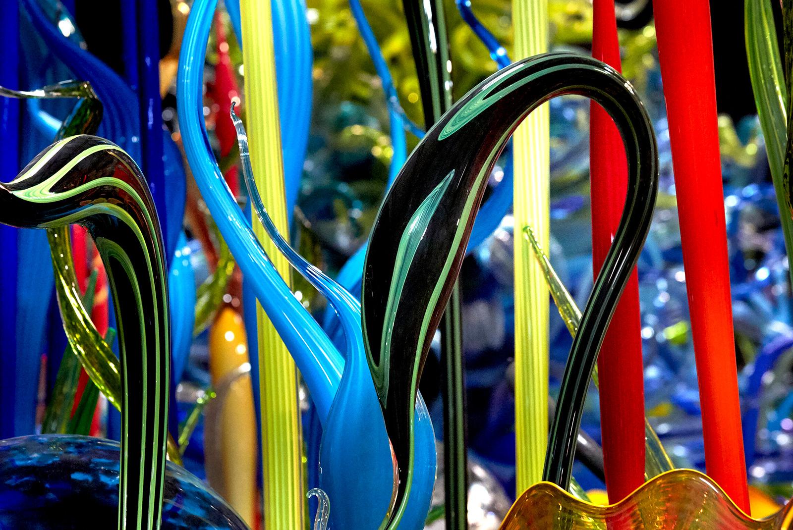Dale Chihuly, Mille Fiori (detail), 2018